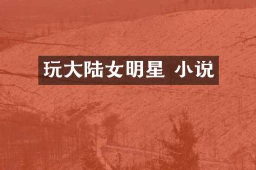 玩大陆女明星 小说
