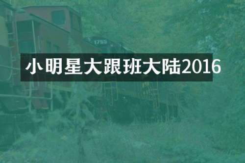 小明星大跟班大陆2016