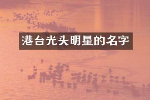 港台光头明星的名字