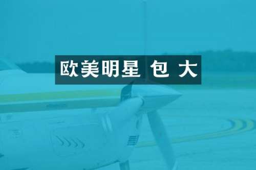 欧美明星 包 大