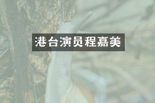 港台演员程嘉美