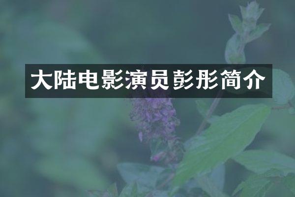 大陆电影演员彭彤简介