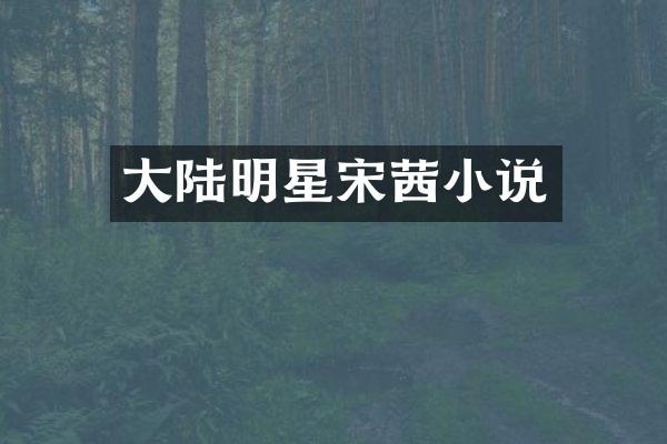 大陆明星宋茜小说