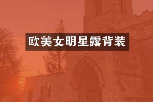 欧明星背装