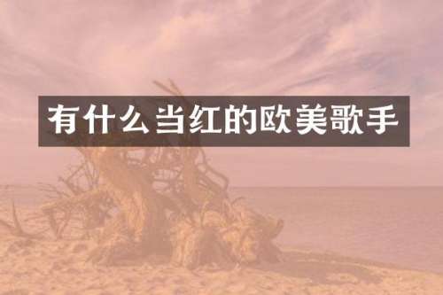 有什么当红的欧美歌手