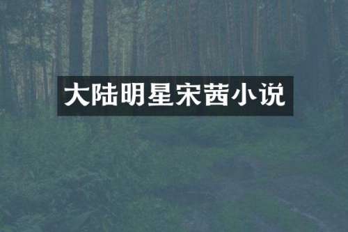 大陆明星宋茜小说