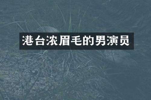 港台浓眉毛的男演员