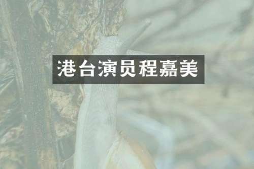 港台演员程嘉美