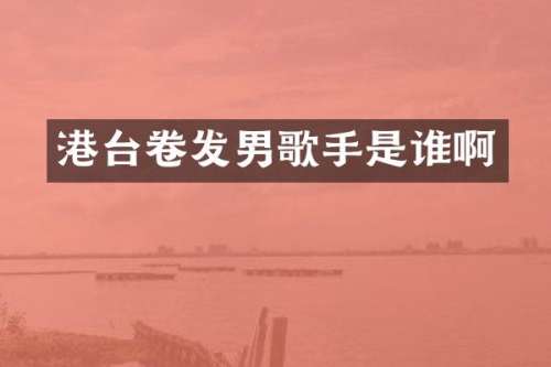 港台卷发男歌手是谁啊