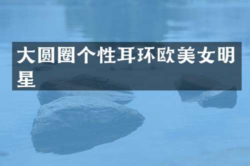 大圆圈个性耳环欧明星