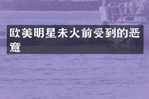 欧美明星未火前受到的恶意