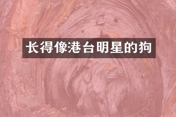 长得像港台明星的狗