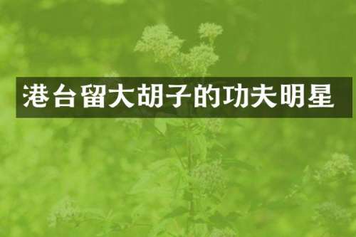 港台留大胡子的功夫明星