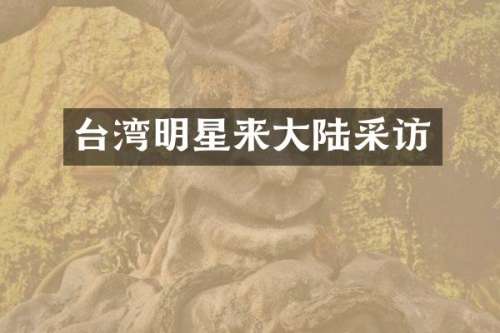 台湾明星来大陆采访