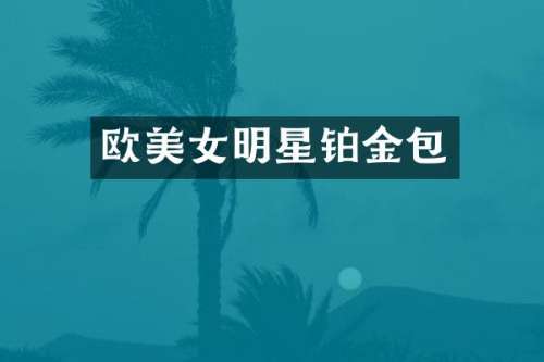 欧明星铂金包