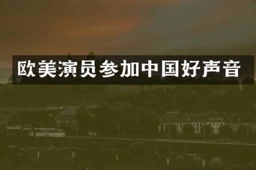 欧美演员参加中国好声音