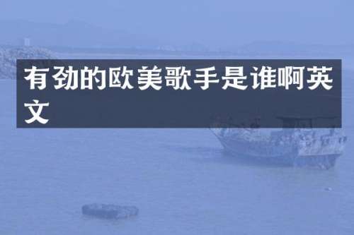 有劲的欧美歌手是谁啊英文