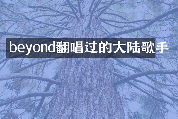 beyond翻唱过的大陆歌手