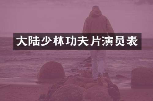 大陆少林功夫片演员表
