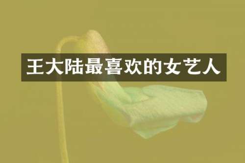王大陆最喜欢的女艺人
