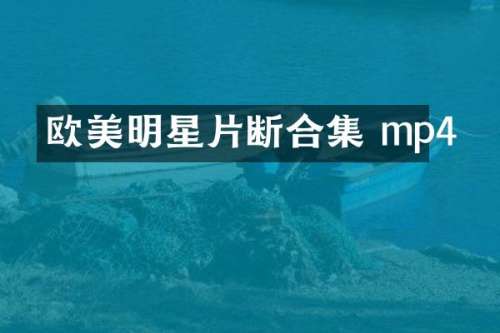 欧美明星片断 mp4