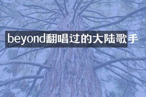 beyond翻唱过的大陆歌手
