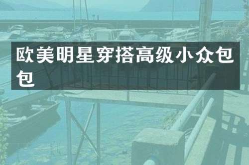 欧美明星穿搭高级小众包包