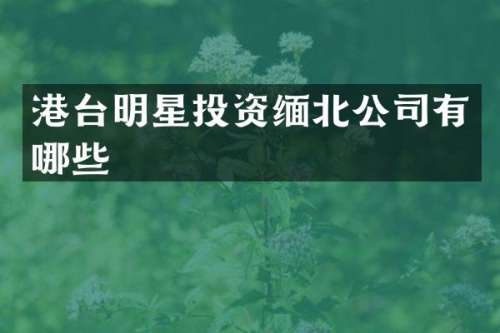 港台明星投资缅北公司有哪些