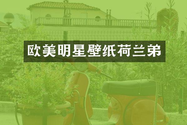 欧美明星壁纸荷兰弟