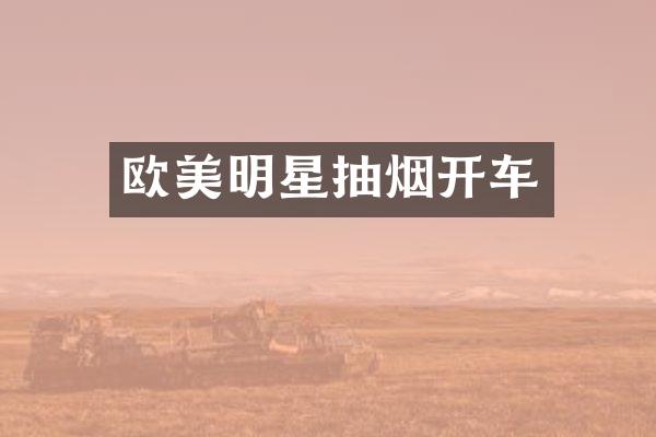 欧美明星抽烟开车