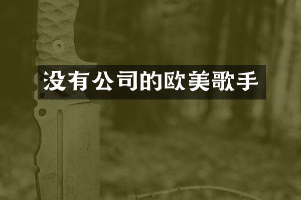 没有公司的欧美歌手