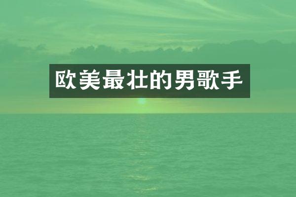 欧美最壮的男歌手