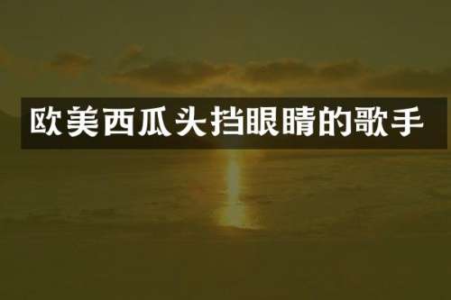 欧美西瓜头挡眼睛的歌手