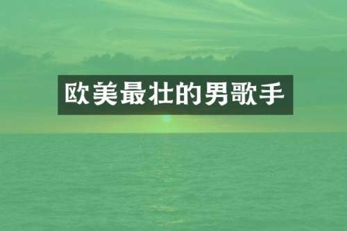 欧美最壮的男歌手