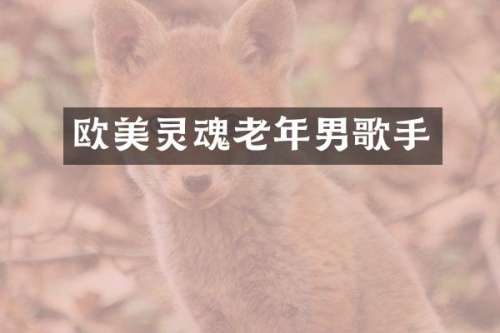 欧美灵魂老年男歌手