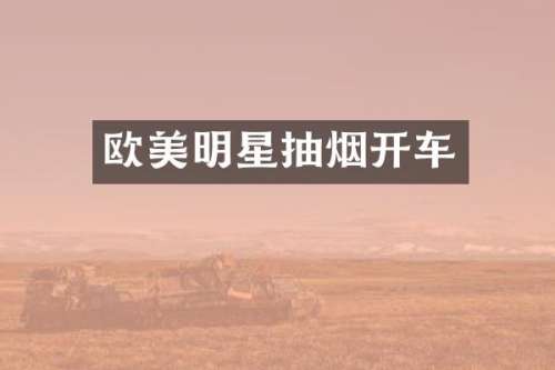 欧美明星抽烟开车