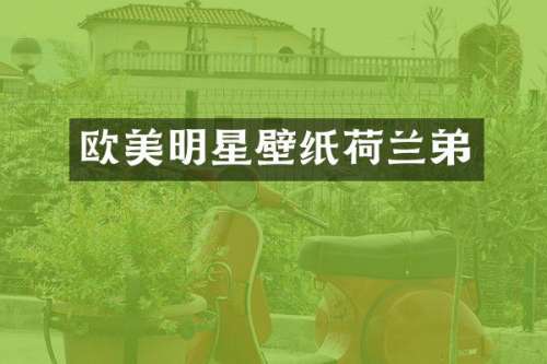 欧美明星壁纸荷兰弟