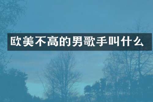 欧美不高的男歌手叫什么
