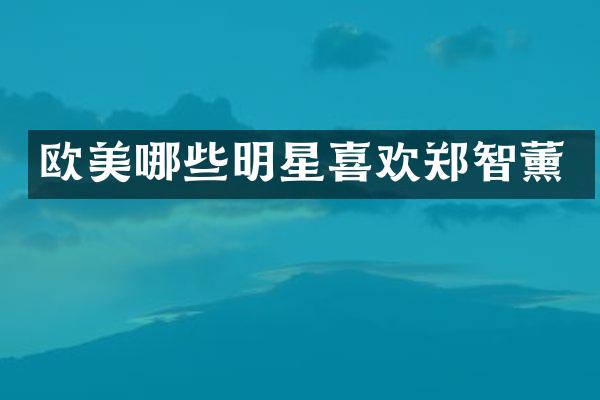 欧美哪些明星喜欢郑智薰