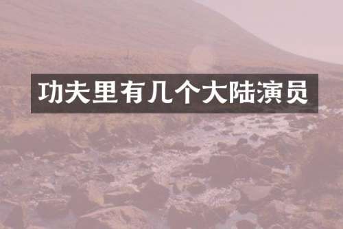 功夫里有几个大陆演员
