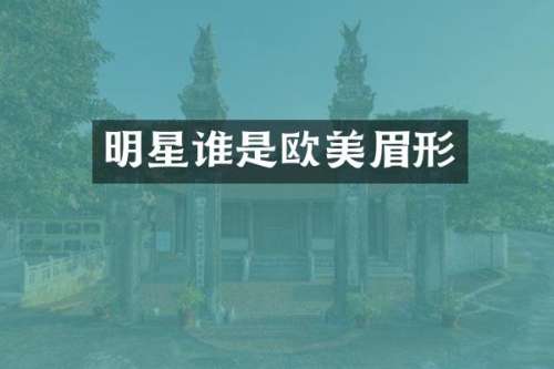 明星谁是欧美眉形