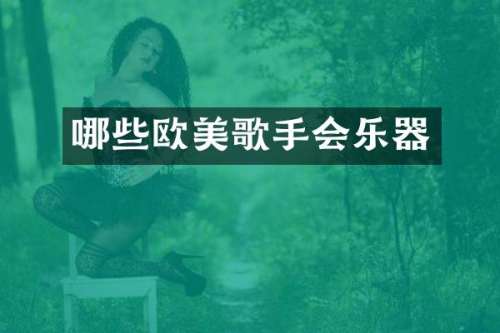 哪些欧美歌手会乐器