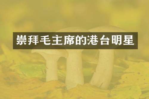崇拜毛主席的港台明星