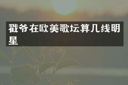 戳爷在欧美歌坛算几线明星