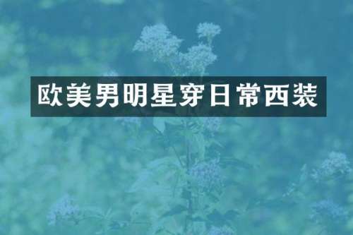 欧美男明星穿日常西装