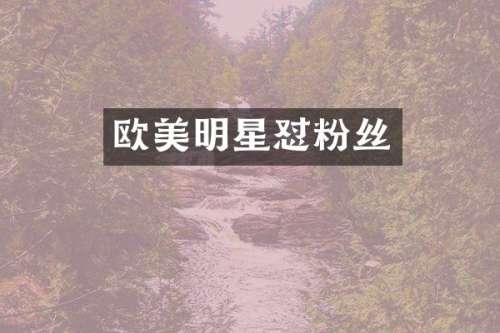 欧美明星怼粉丝