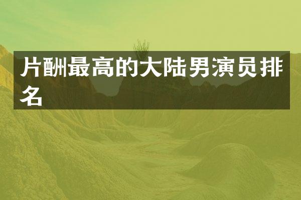片酬最高的大陆男演员排名