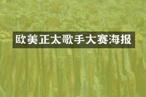 欧美正太歌手大赛海报