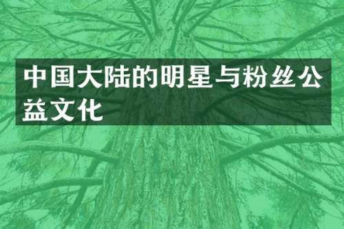 中国大陆的明星与粉丝公益文化