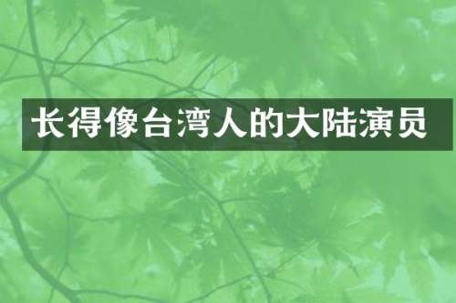 长得像台湾人的大陆演员